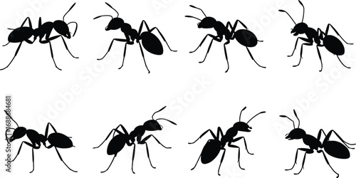 Ant silhouette vector illustration, black insect graphic, ant pest design, ant colony artwork, ant shape drawing, insect silhouette element