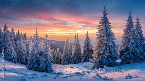 Wallpaper Mural Snow-covered pine trees fill the foreground as the sun sets, casting vibrant colors across the sky and illuminating the winter landscape in the mountains. Torontodigital.ca