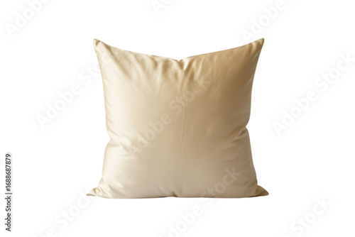 square throw pillow image isolated on a plain transparent
