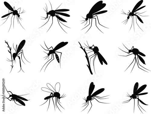 Mosquito silhouette vector illustration, insect pest icons, malaria mosquito design, dengue mosquito graphic, mosquito control symbol, black insect shape art
