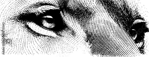 Black and white line art style eye illustration for artistic design