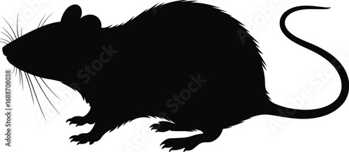 Black silhouette of rat vector illustration, furry rodent side view, pest animal icon, isolated graphic, wildlife symbol, cartoon design