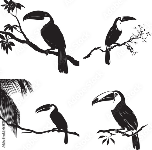 Vector art of four toucans on branches in black and white style