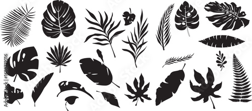 Decorative Leaf Silhouette Patterns with Botanical Theme, Black and White, Artistic, Elegant, Nature-Inspired, Detailed, Minimalist, Calm, Organic, Whimsical, Leafy, Fresh, Serene, Verdant, Natural, I