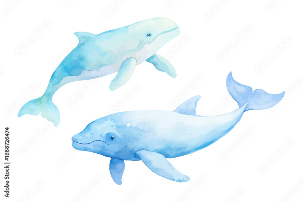 Fototapeta premium Ocean Animal Watercolor Set with Whale, Dolphin, and Sea Turtle