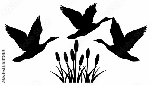 Silhouette of three geese flying above cattails in a wetland environment in black and white illustration