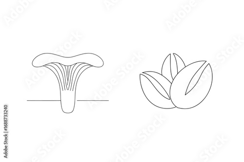 Mushroom and nuts minimalist line art chanterelle pistachios