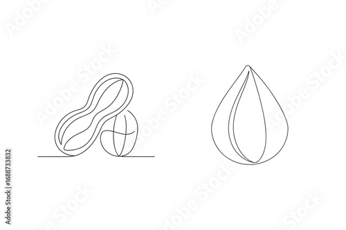 Single line drawing of peanut and seed line art minimalist