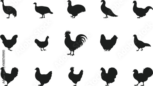 Chicken silhouette vector, rooster illustration, poultry bird icons, farm animals clipart, hen shadow design, turkey shapes, domestic bird graphics, farming art