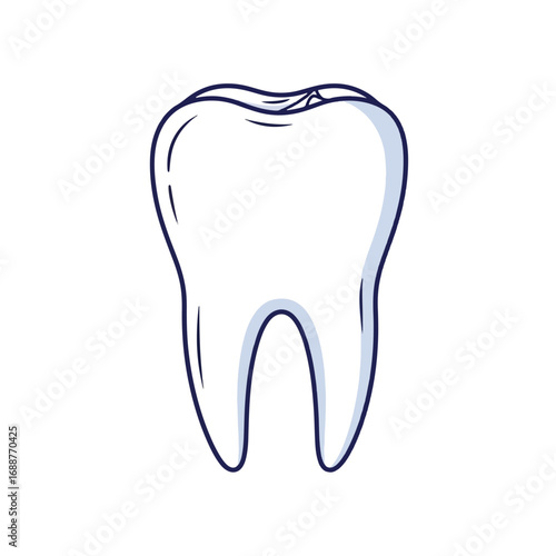 tooth isolated on white background
