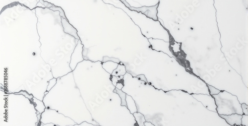 Elegant White Marble Texture