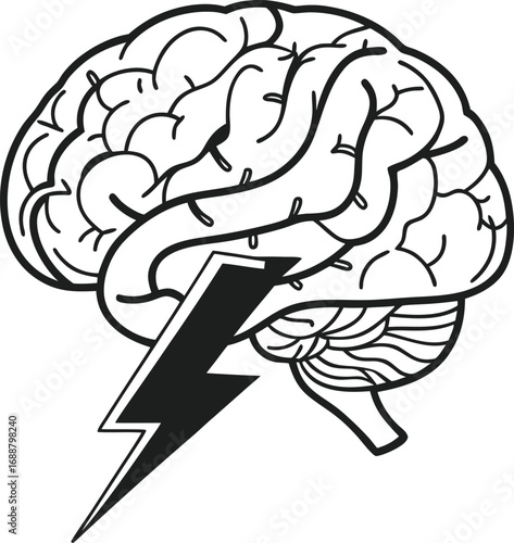 brain cancer vector , human brain vector , brain anatomy vector design, brain cells vector , brain neurons vector, brain function vector