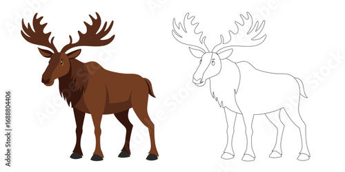 Moose cartoon animal in two styles — colorful and outline version. Vector illustration of wild moose isolated on white background. Perfect for children’s books, design, and print.
