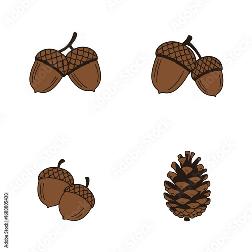 Four illustrations of acorns and a pinecone on a white background representing autumn and nature