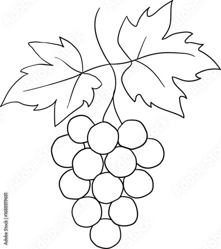Black outline illustration of grape bunch with leaves, simple vector drawing perfect for coloring book, educational design, icon, or decorative pattern.