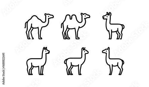 Minimalist line art animals: camels and llamas with unique shapes