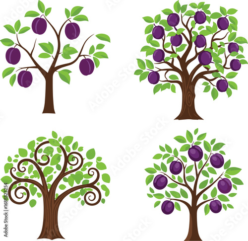 Plum tree botanical illustration set, four seasonal variations, green leaves and ripe purple plums, detailed branch structure, flat vector silhouette style, isolated