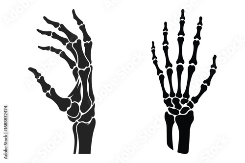 Two black silhouette human skeleton hands with open fingers on white background human hand bones