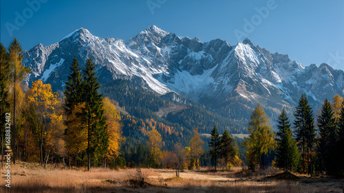 Snowy mountain range backdrop with autumn trees in the foreground under a clear blue sky day light