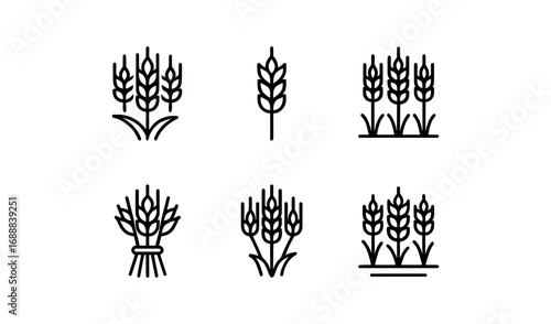 Minimalist linear ear of wheat icons for agriculture design