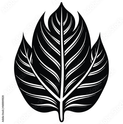 A decorative vector illustration set of black and white feather and leaf silhouettes