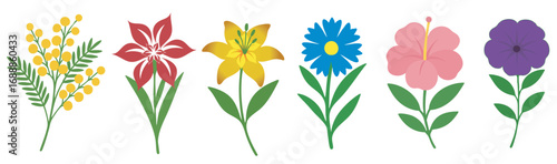 Various Flowers Kinds Set Vector