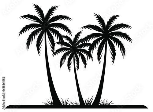 Tropical palm trees vector illustration. Exotic island landscape silhouette. Nature scene element.
