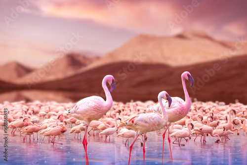Africa. Kenya. Wildlife. Pi...
