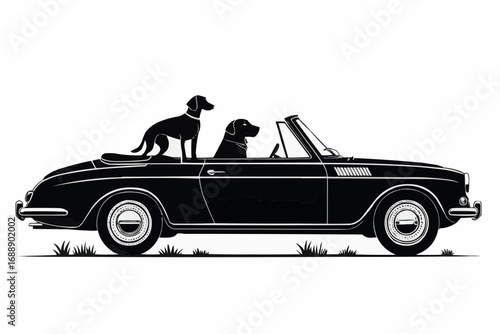 Two dogs riding in a black convertible car with grass below and a white background in monochrome style
