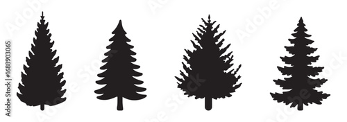 pine tree silhouette set collection evergreen tree designs vector illustration