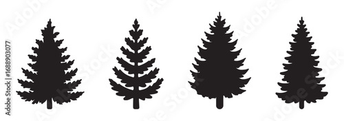 pine tree silhouette set collection evergreen tree designs vector illustration