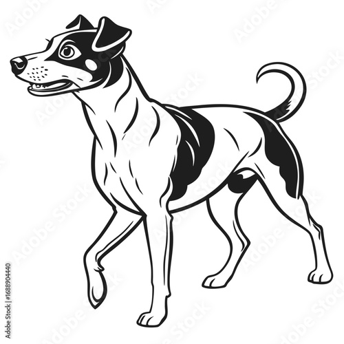 Stylized illustration of a jack russell terrier dog walking
