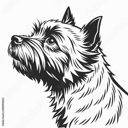 Black and white illustration of a west highland white terrier dog