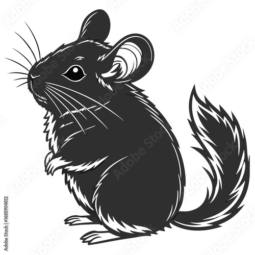 Cute chinchilla vector illustration
