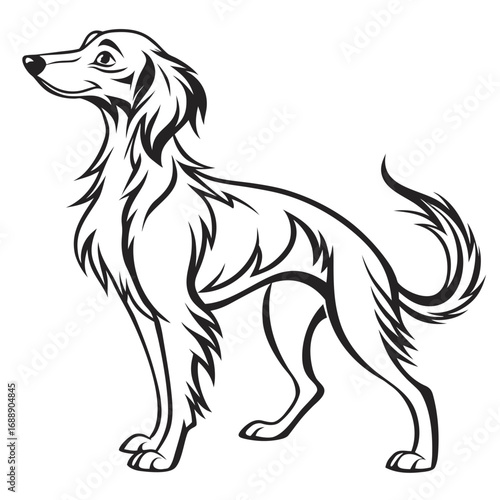 Elegant black and white illustration of a sighthound dog
