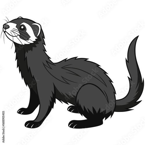 Cute cartoon ferret looking up with curiosity