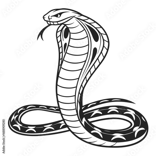 Stylized cobra snake illustration with decorative patterns