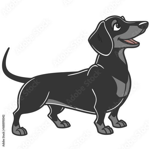 Cute cartoon black dachshund dog standing and looking up