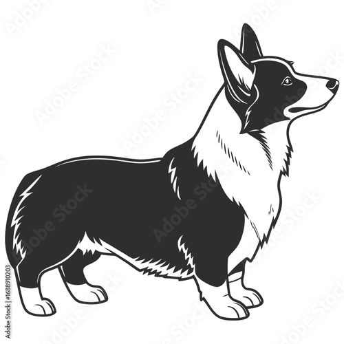 Black and white illustration of a pembroke welsh corgi dog standing