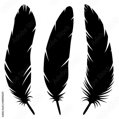 Silhouette of Feathers Elegant Trio of Detailed Plumes for Design, Art, and Symbolic Representations