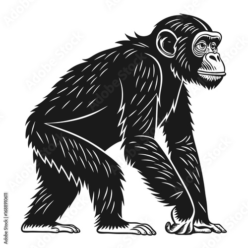 Stylized black and white chimpanzee illustration