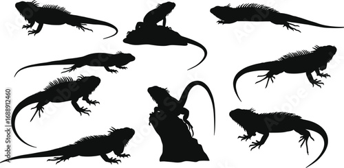 Black iguana silhouette collection, reptile animal shapes, lizard poses, exotic wildlife vector, tropical fauna design, climbing resting standing iguanas illustration set