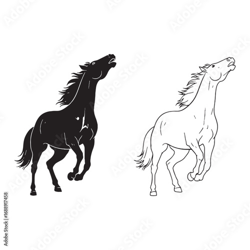 Defined Horse Silhouette & Horse Lineart – Horse Vector Graphic Highlighting Classic Equine Form – Black Vector of Horse – Vector Set of Horse