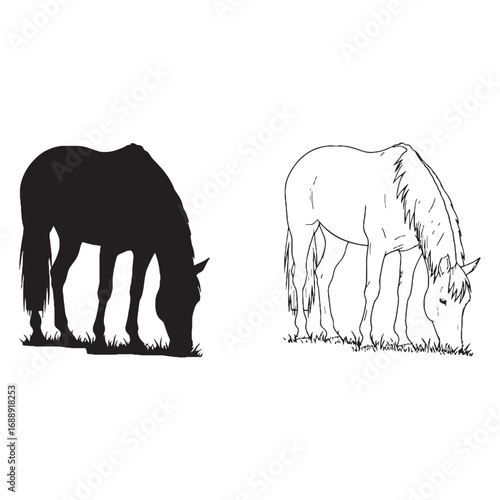 Classic Horse Silhouette & Horse Lineart – Horse Vector Graphic with Simplified Farm Animal Shape – Horse Illustration – Silhouette and Lineart Set of Horse