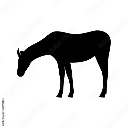 Silhouette of a roan antelope grazing quietly in a field on white