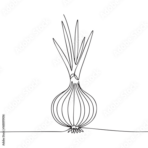 Continuous line of onion .Single one line art of onion , One continuous line illustration of an onion isolated on white background.