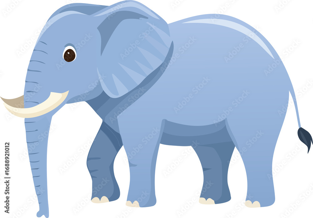 Fototapeta premium ゾウ