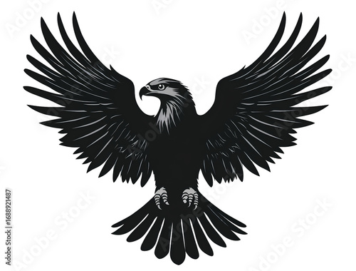 eagle eye, high school mascot logo design vector graphic silhouette black on transparent background.