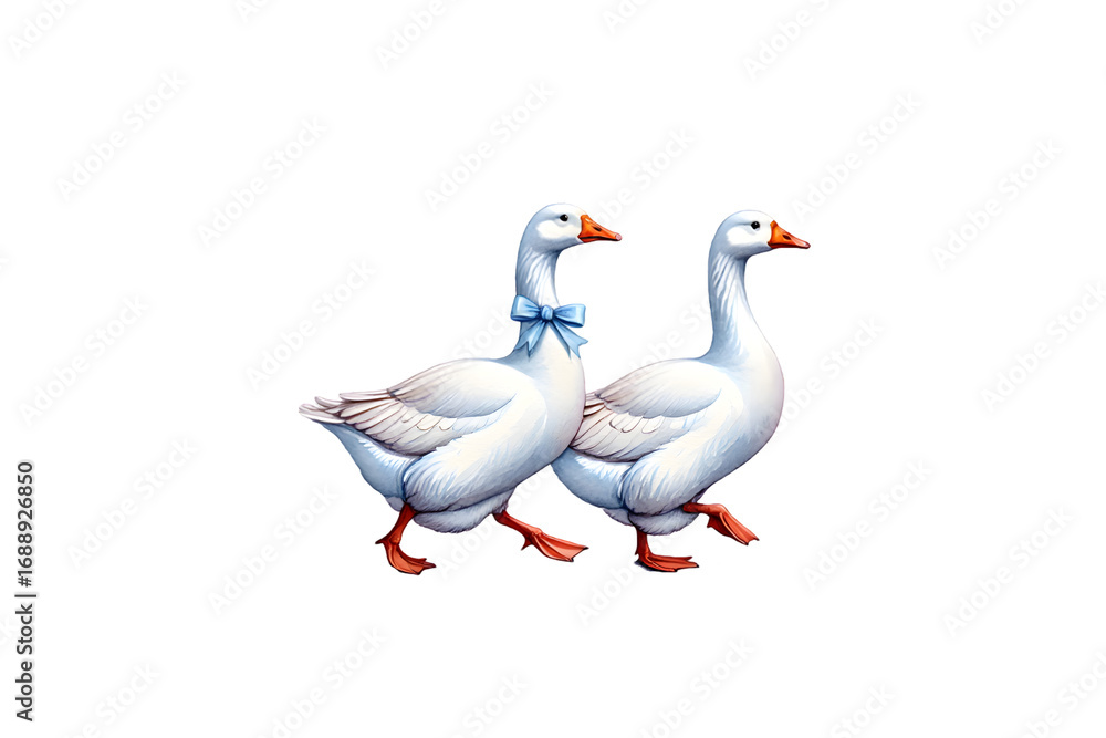 Fototapeta premium Two elegant white geese with a blue bow tie walking isolated on transparent background, watercolor style