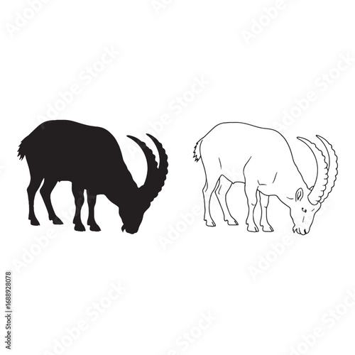 Strong Ibex Silhouette & Ibex Lineart – Ibex Vector Design with Defined Horn Structure – Black Vector of Ibex – Vector Set of Ibex